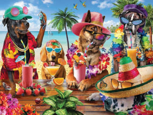 Beach Party Beach & Ocean By White Mountain