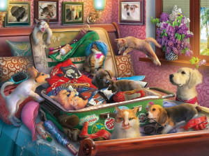 Paws Gone Wild Around the House By White Mountain