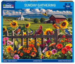 Sunday Gathering Birds By White Mountain