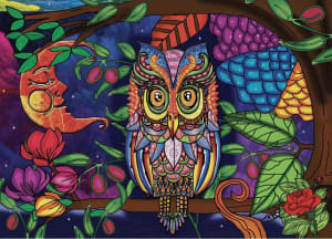 Starry Night Birds By Jacarou Puzzles