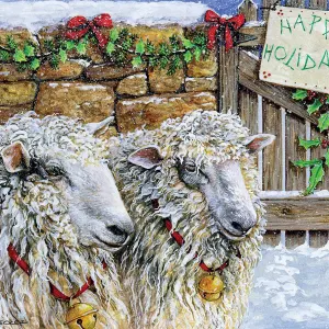 Sheep at the Gate Farm Animal By Wellspring