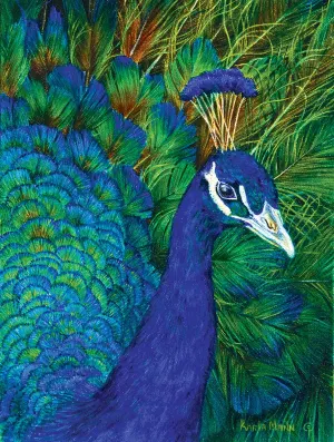 Peacock Birds By SunsOut