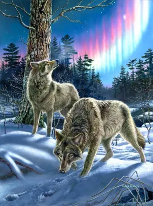 Wolves and Lights Wolf By SunsOut