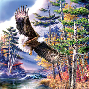 Boundary Water Eagle By SunsOut