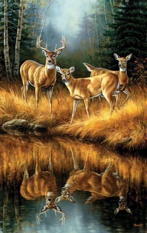 Whitetail Reflections