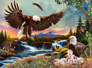 Arriving Home Eagle By SunsOut