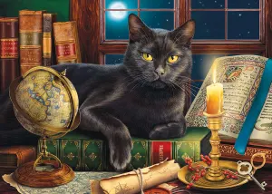 Black Cat by Candlelight Books & Reading By SunsOut