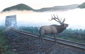 Elk Tracks Train By SunsOut