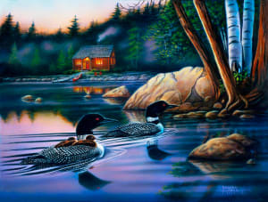 Backwater Loons Birds By SunsOut