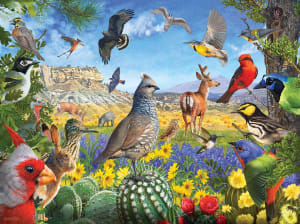 Texas Birds Landscape By SunsOut