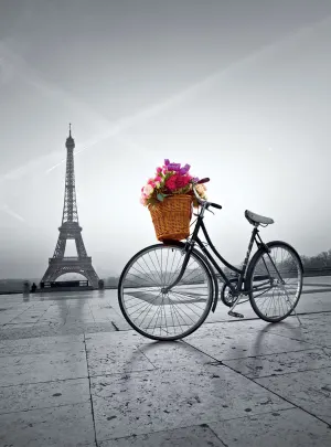 Romantic Promenade in Paris Bicycle By Clementoni