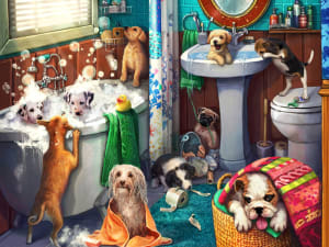 Bathroom Break Around the House By Vermont Christmas Company