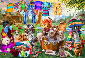 Pet Wash Fun Summer By Vermont Christmas Company