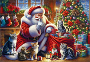 Purr-Fect Presents Christmas By Vermont Christmas Company