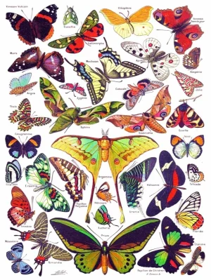 Butterflies Collage By New York Puzzle Co