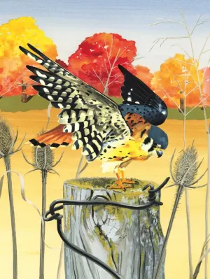 American Kestrel Birds By New York Puzzle Co