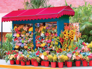 Kodak 550 - Side Street Colorful Flower Market Shopping By Kodak