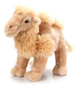 Bactrian Camel MD 12" (33cm) By The Petting Zoo