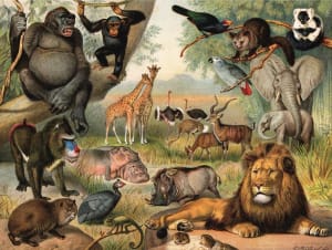 Animals of Africa Nostalgic & Retro By New York Puzzle Co