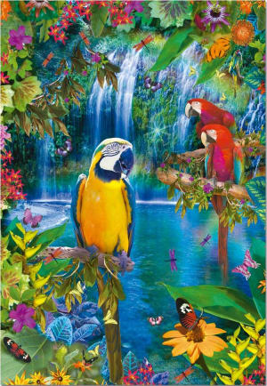 Bird Tropical Land Waterfall By Educa