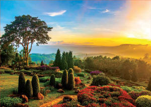 Beautiful Garden Sunrise & Sunset By Educa