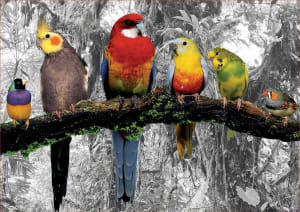 Birds On The Jungle Monochromatic By Educa