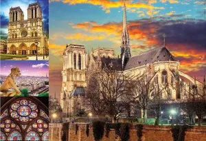 Notre Dame Collage Collage By Educa
