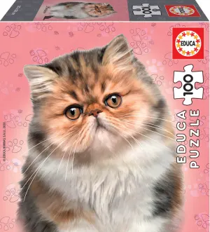 Persian Cats By Educa
