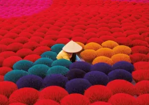 Incense Village Vietnam Photography By Educa