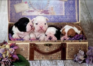Puppies Dogs By Educa