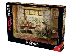 Reading By The Window Around the House By Anatolian