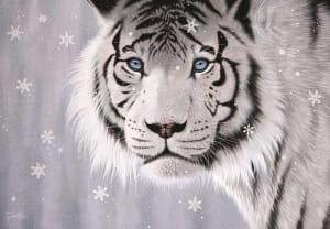 Crystal Eyes Big Cats By Anatolian