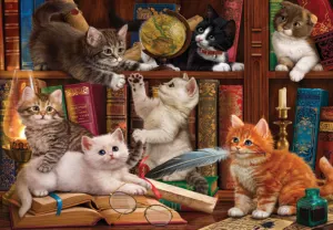 Kittens in the Library Books & Reading By Anatolian