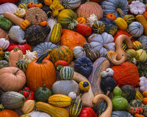 Autumn Harvest Fruit & Vegetable By Vermont Christmas Company