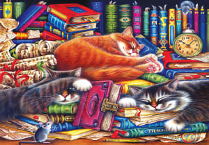 The Old Book Shop Cats Books & Reading By Kodak