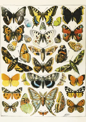 sevenbutterfly 　3点まとめ Butterfly Waterfall - 1000 Piece Jigsaw Puzzle by SunsOut