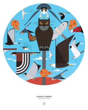 Hawk Mountain Birds By Pomegranate