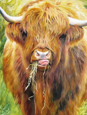 Highland Cow - Scratch and Dent Animals By Map Marketing