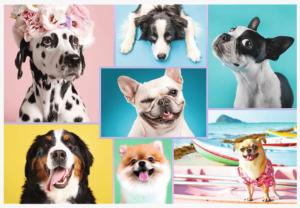 Cute Dogs Collage Jigsaw Puzzle By Trefl