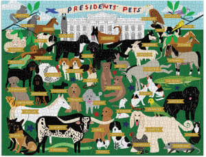 Presidents Pets History By Galison