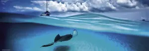 Stingray Beach & Ocean By Heye