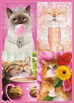 Avanti Cat Fancies Cats