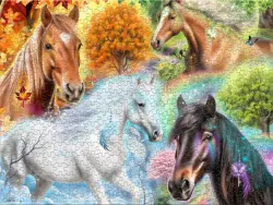 A Season for Horses Horse
