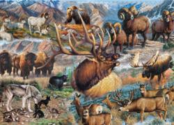 America The Wild Animals Jigsaw Puzzle