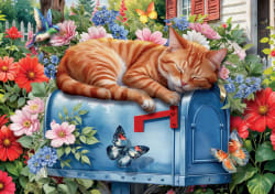 Cat Nap Cats