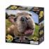The Nose Knows Pugsley Dogs Jigsaw Puzzle
