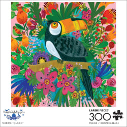 Terrific Toucan Birds
