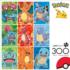 First Partner Pokemon: Kanto Video Game Jigsaw Puzzle