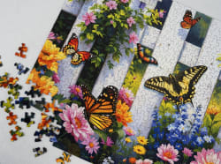 Butterfly Haven Butterflies and Insects
