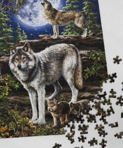 Wolf Pack Wolf